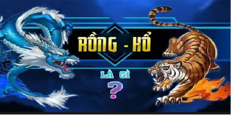 Chia sẻ chung về game rồng hổ 