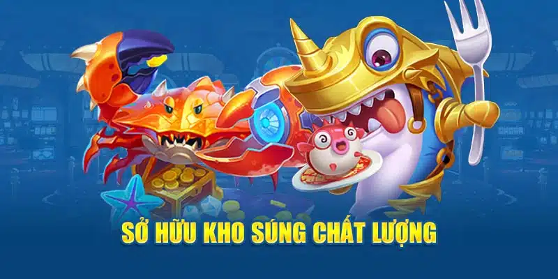 Sở hữu kho súng chất lượng