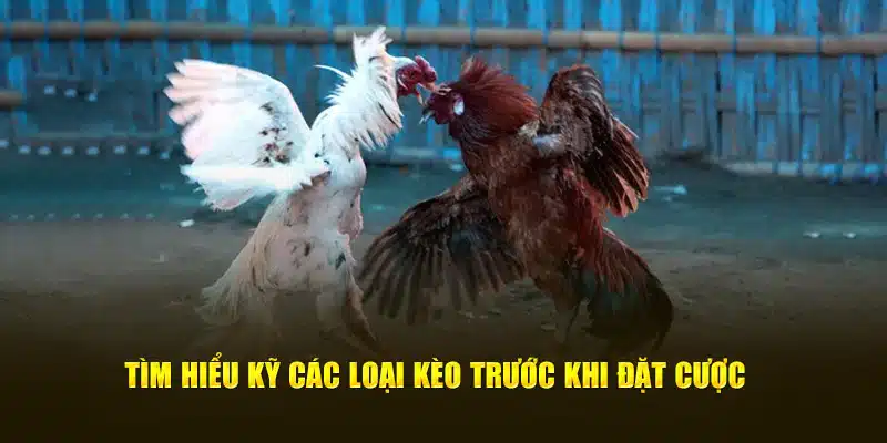 Tìm hiểu kỹ các loại kèo độ trước khi đặt cược 